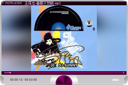 PotPlayer精简绿化版