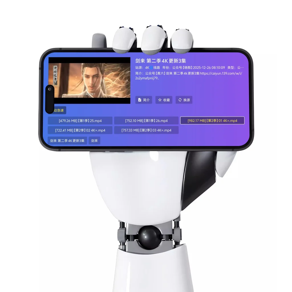 HiShoot_20251231_181510