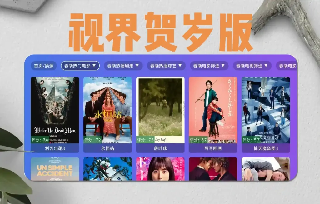 视界贺岁版·TV内置4K